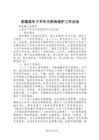 2024年镇下半年天然林保护工作总结