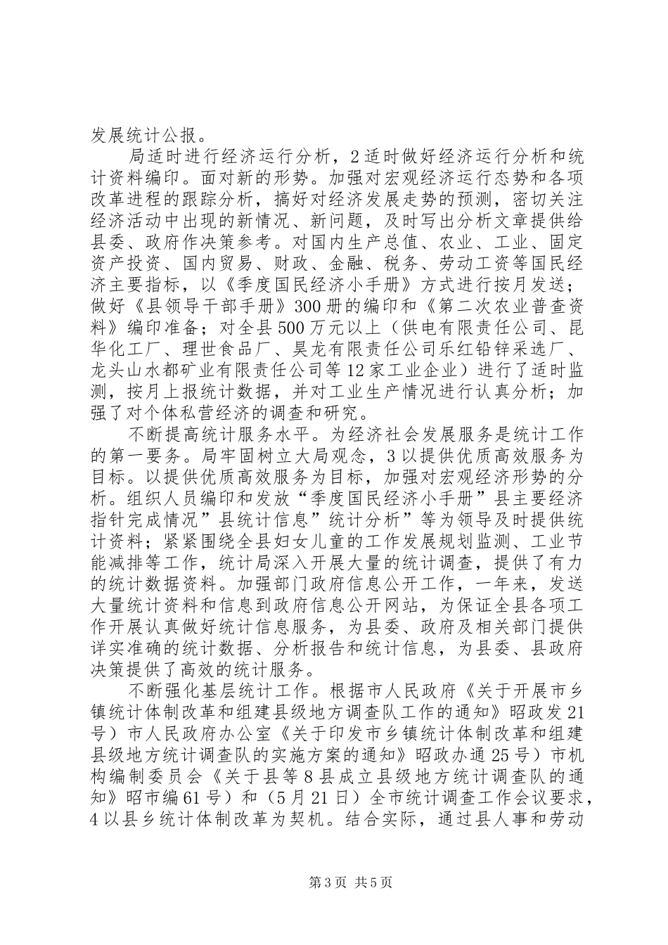 2024年镇乡统计局年末总结_第3页