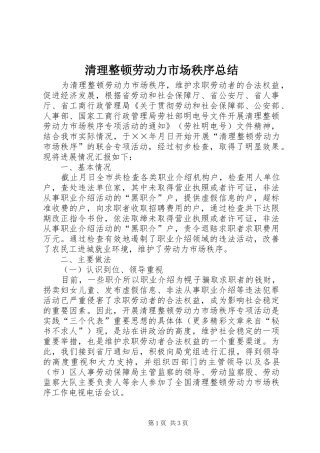 2024年清理整顿劳动力市场秩序总结