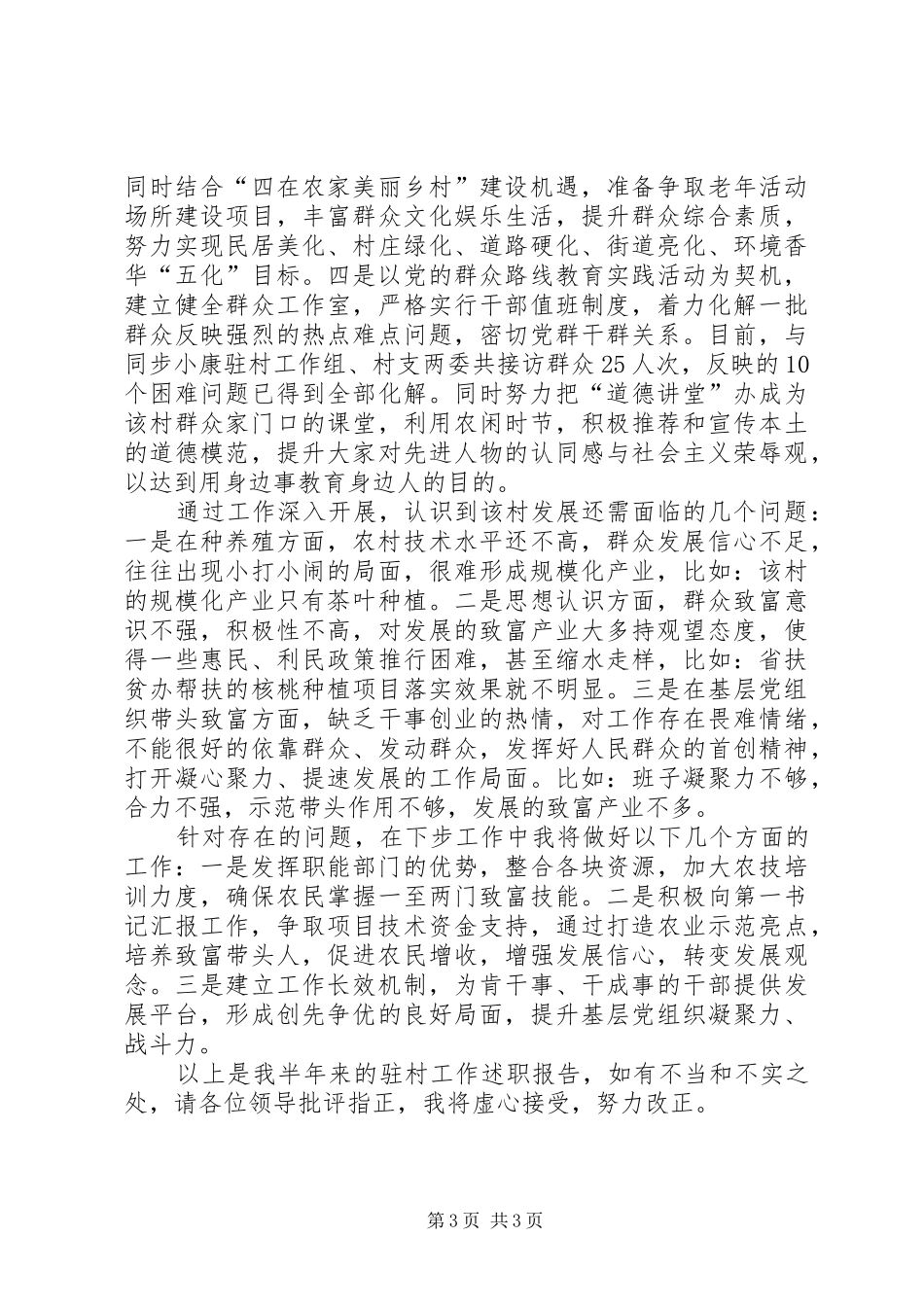 2024年驻村工作个人述职总结_第3页