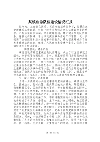 2024年镇应急队伍建设情况汇报