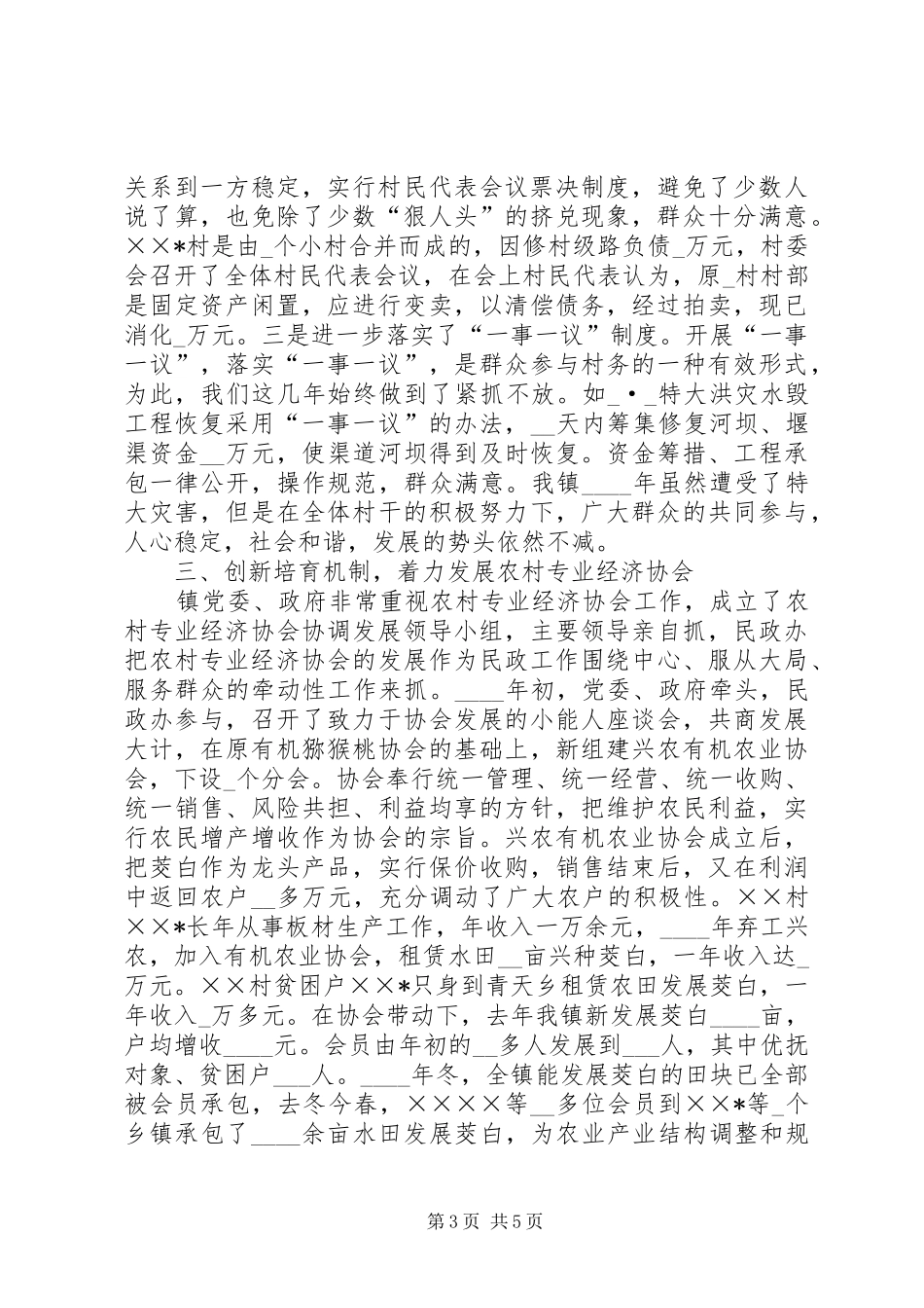 2024年镇在全区民政工作会议上的交流材料_第3页