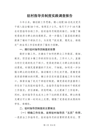 2024年驻村指导员制度实践调查报告