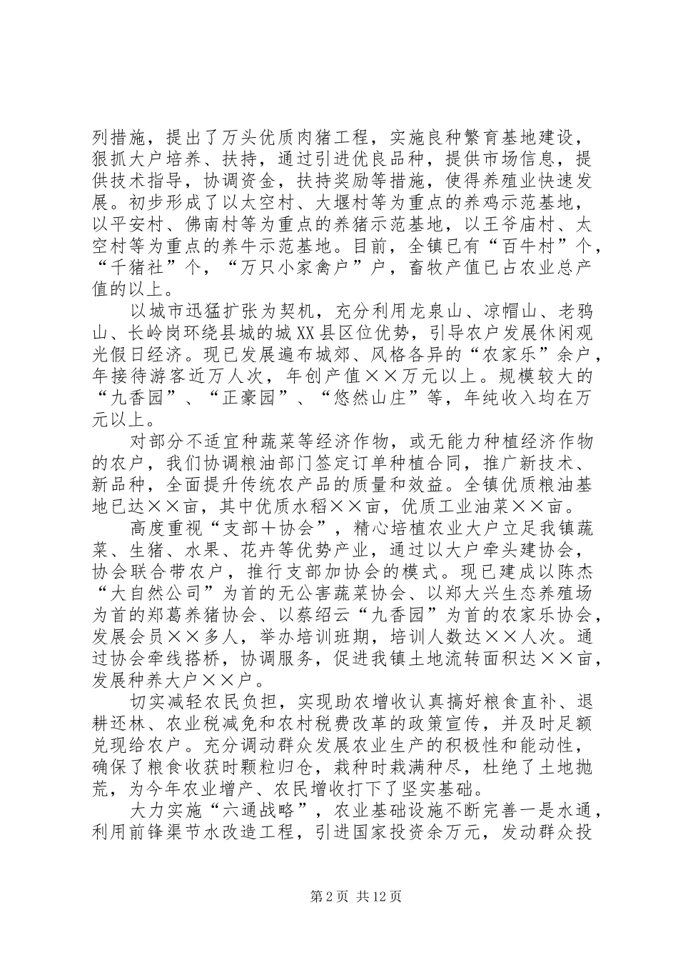 2024年镇政府工作总结_第2页