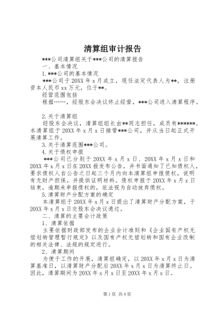 2024年清算组审计报告