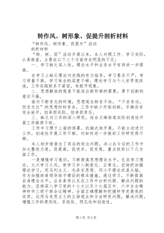 2024年转作风树形象促提升剖析材料