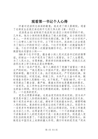 2024年观看第一书记个人心得