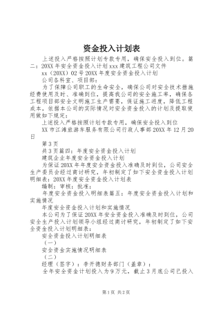 2024年资金投入计划表