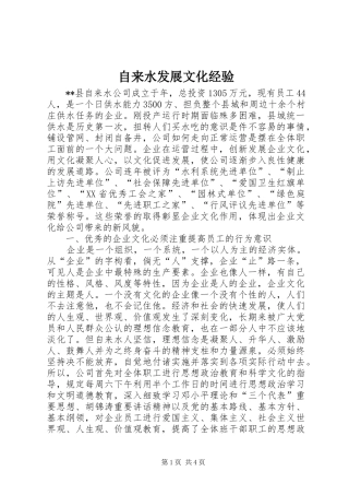 2024年自来水发展文化经验