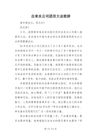 2024年自来水公司团员大会致辞