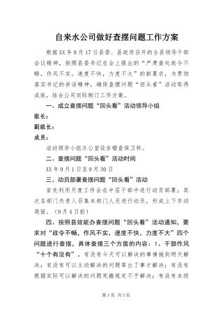 2024年自来水公司做好查摆问题工作方案