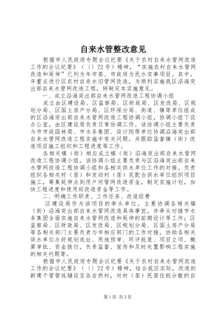 2024年自来水管整改意见
