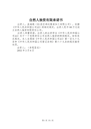 2024年自然人独资有限承诺书