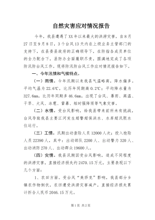 2024年自然灾害应对情况报告