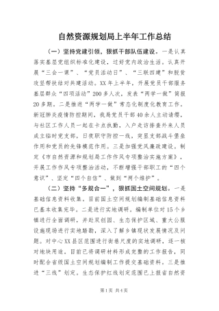 2024年自然资源规划局上半年工作总结