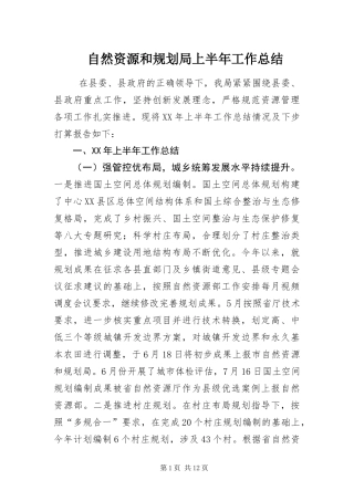 2024年自然资源和规划局上半年工作总结