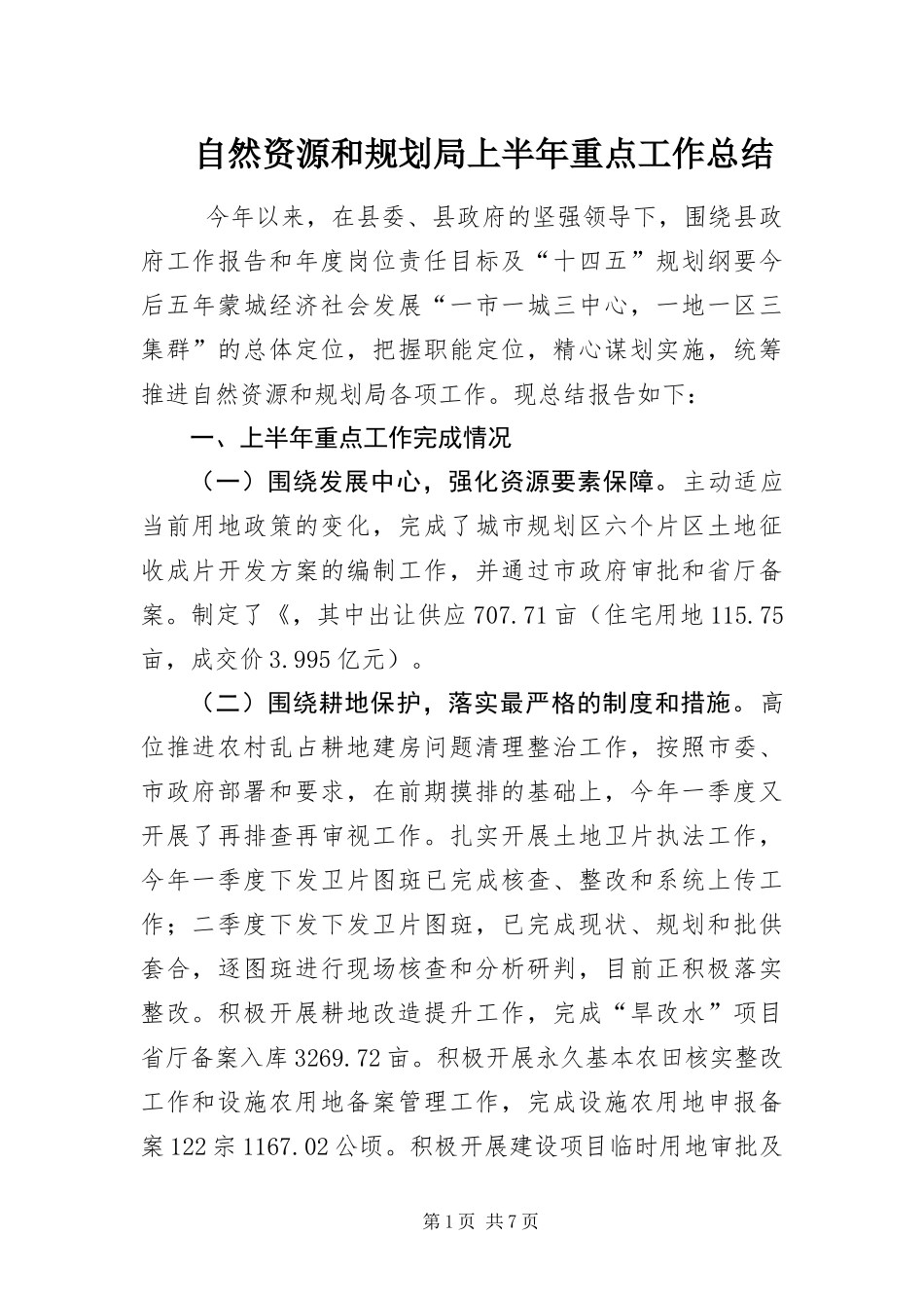 2024年自然资源和规划局上半年重点工作总结_第1页