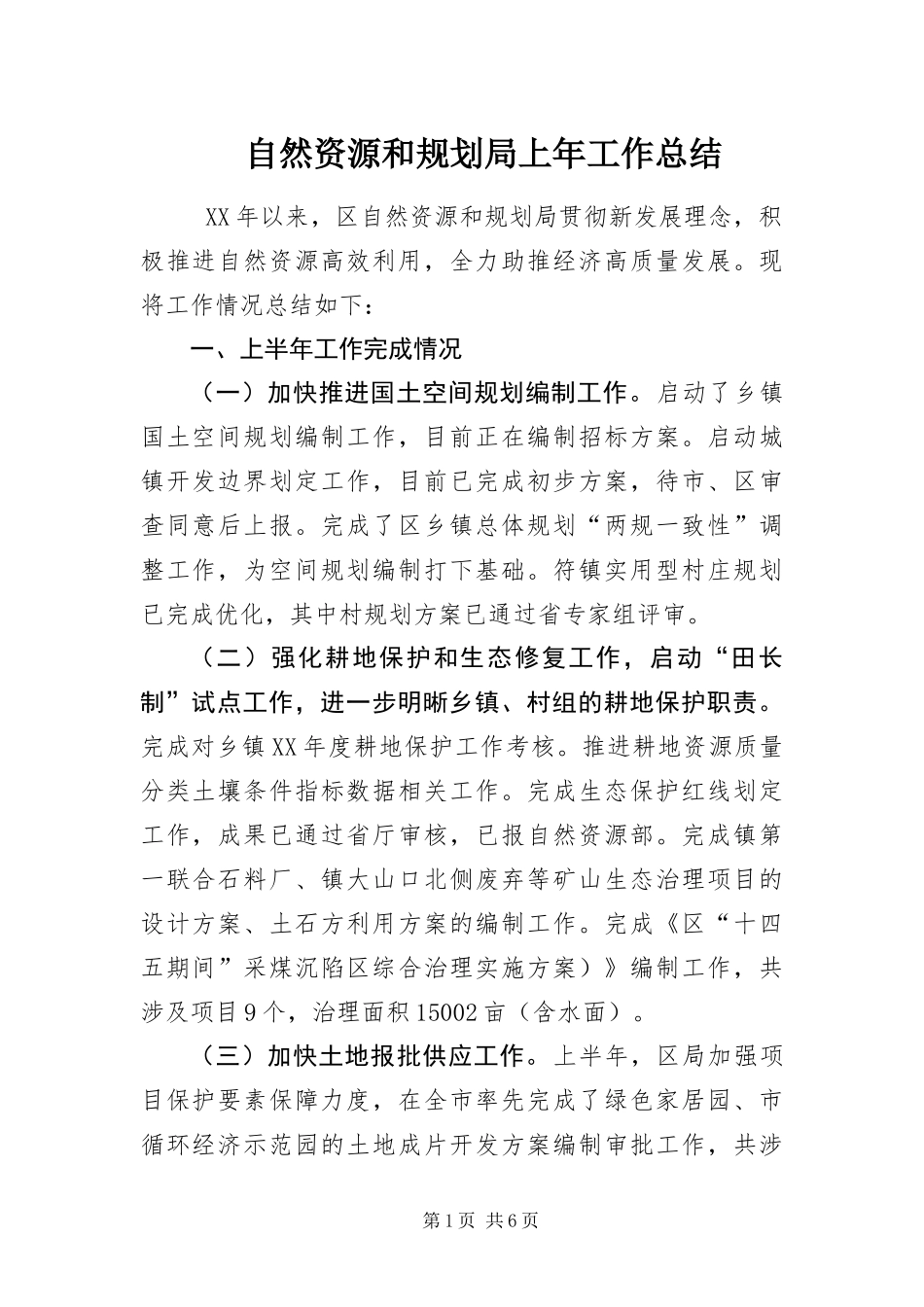 2024年自然资源和规划局上年工作总结_第1页
