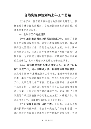 2024年自然资源和规划局上年工作总结