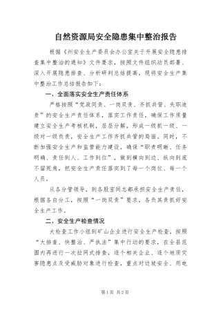 2024年自然资源局安全隐患集中整治报告