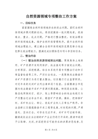 2024年自然资源领域专项整治工作方案