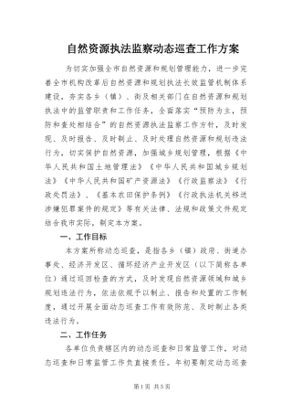 2024年自然资源执法监察动态巡查工作方案