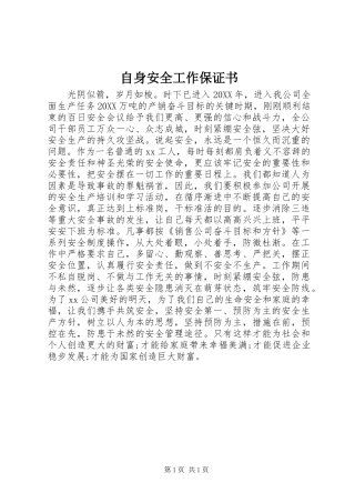2024年自身安全工作保证书