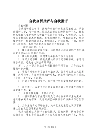 2024年自我剖析批评与自我批评