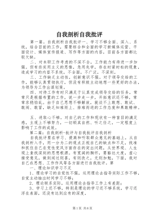 2024年自我剖析自我批评