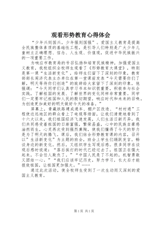 2024年观看形势教育心得体会
