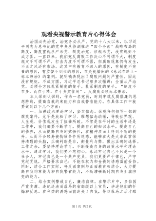 2024年观看央视警示教育片心得体会
