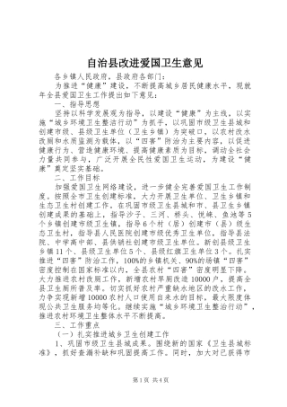 2024年自治县改进爱国卫生意见