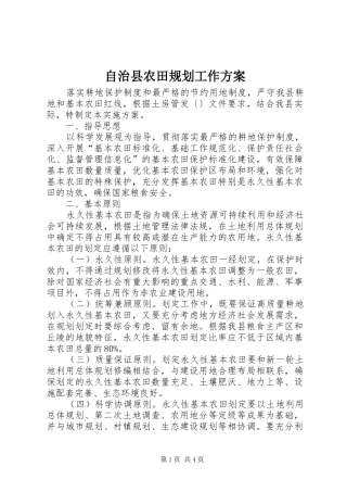 2024年自治县农田规划工作方案