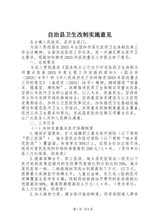2024年自治县卫生改制实施意见
