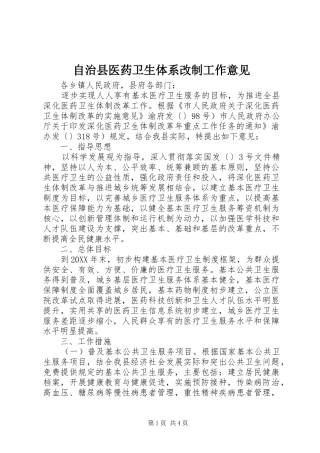2024年自治县医药卫生体系改制工作意见