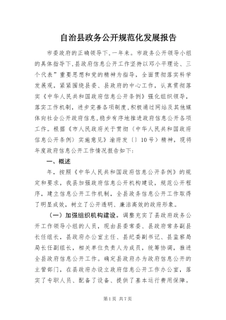 2024年自治县政务公开规范化发展报告