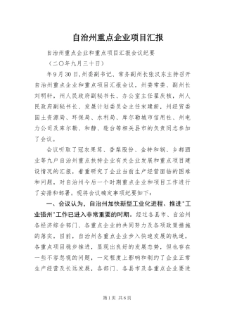 2024年自治州重点企业项目汇报