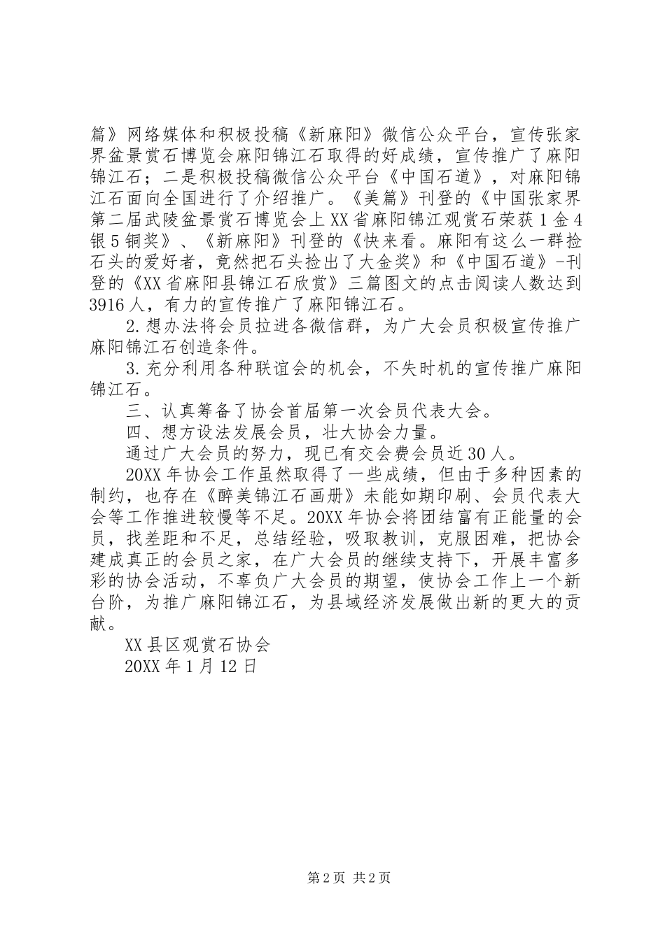 2024年观赏石协会工作总结_第2页