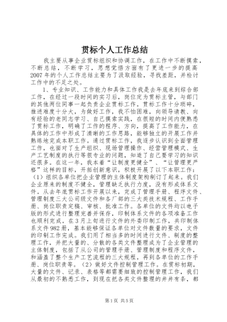 2024年贯标个人工作总结