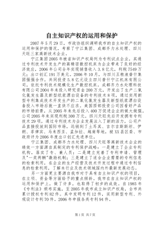 2024年自主知识产权的运用和保护