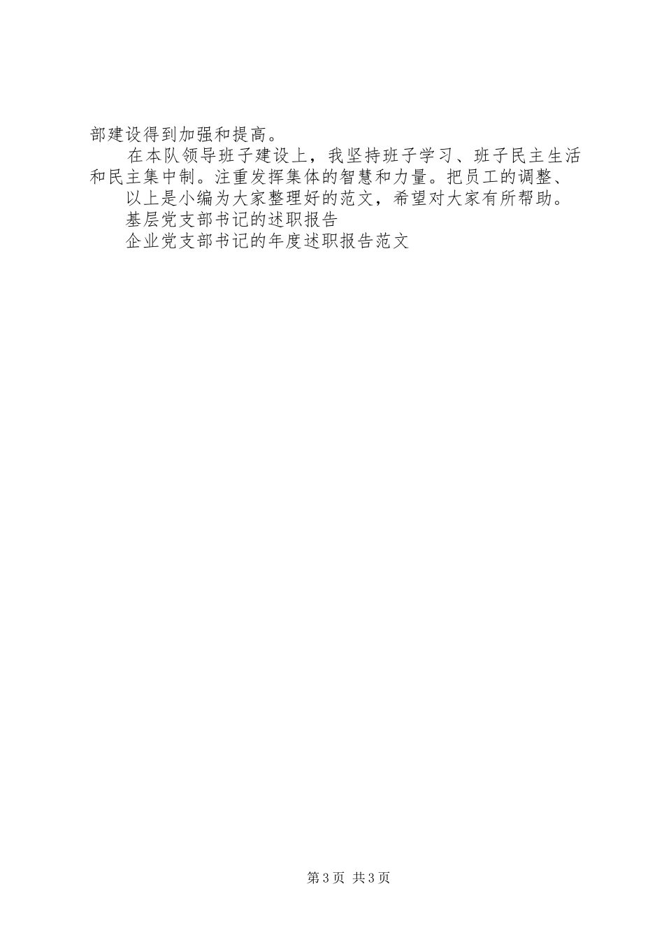 2024年钻井队党支部书记的述职报告_第3页