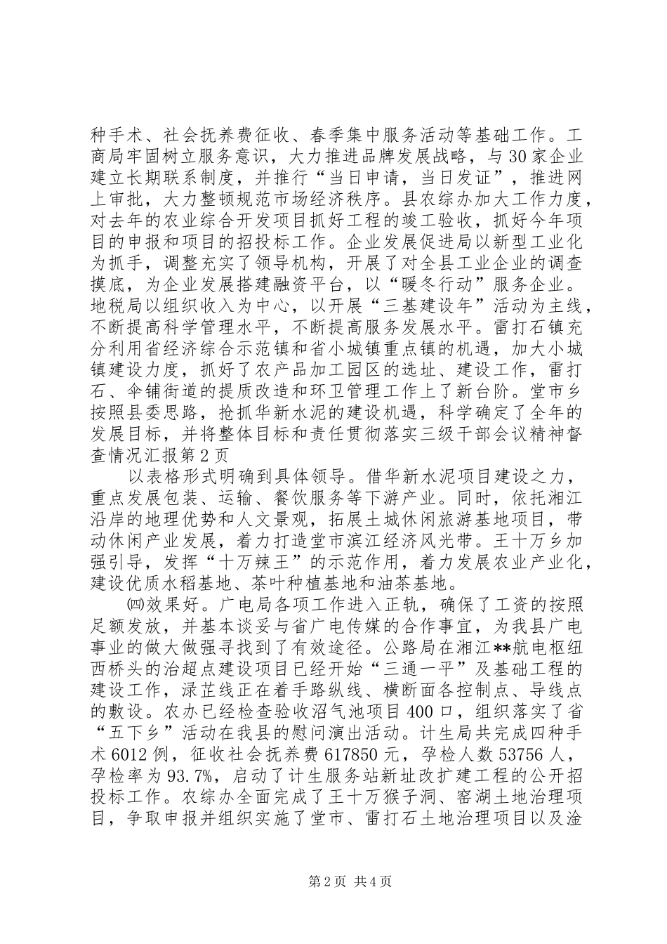 2024年贯彻落实三级干部会议精神督查情况汇报_第2页