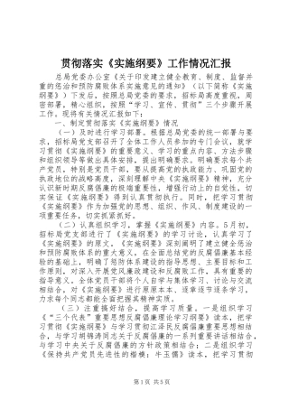 2024年贯彻落实实施纲要工作情况汇报
