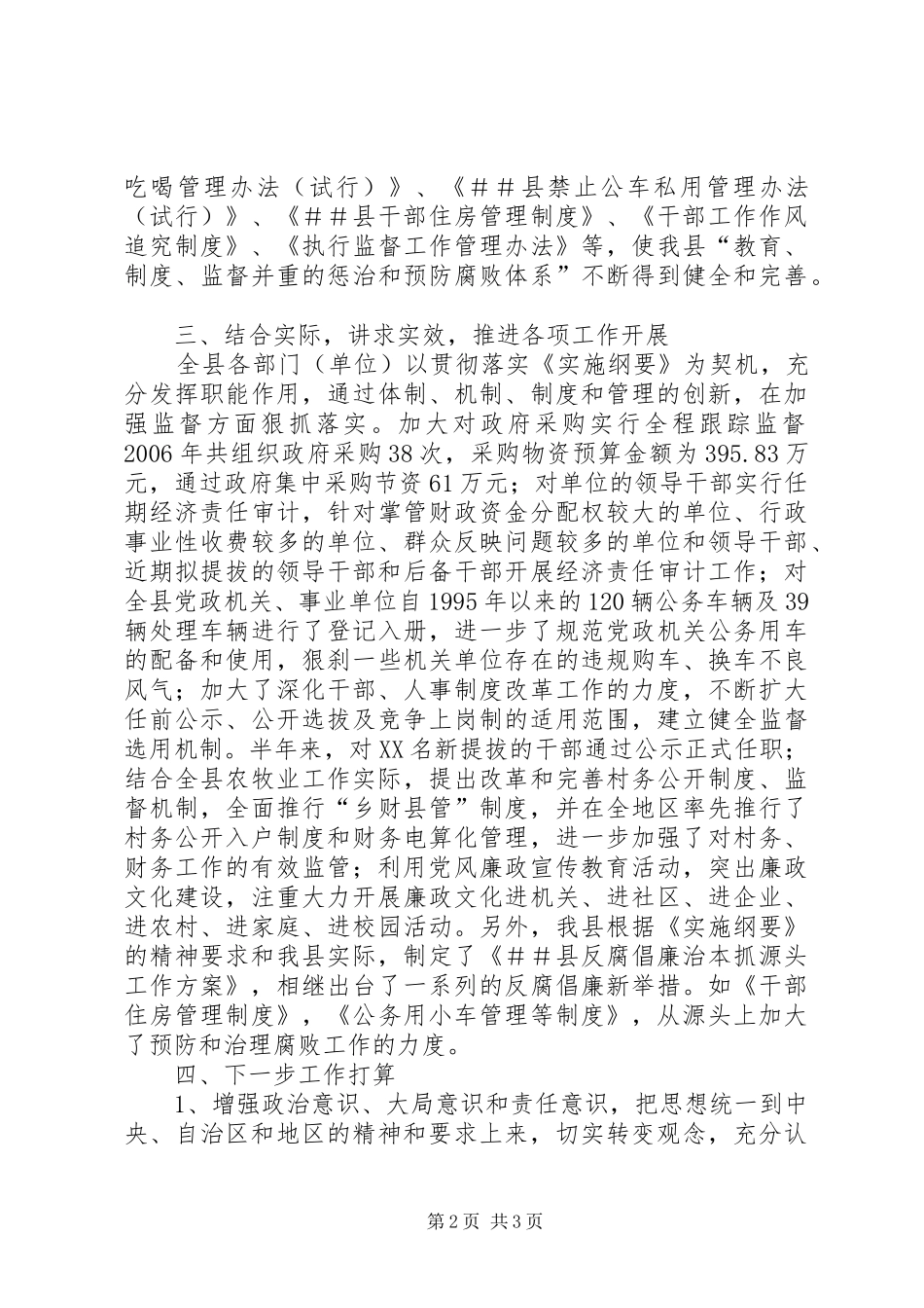 2024年贯彻落实实施纲要总结_第2页