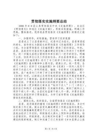 2024年贯彻落实实施纲要总结