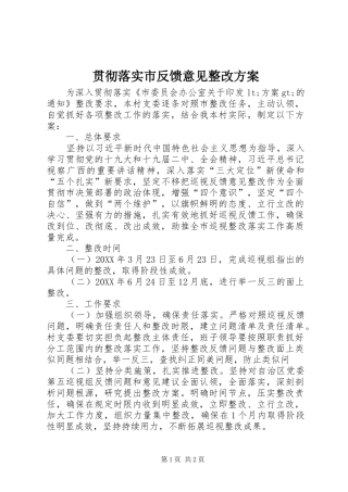 2024年贯彻落实市反馈意见整改方案