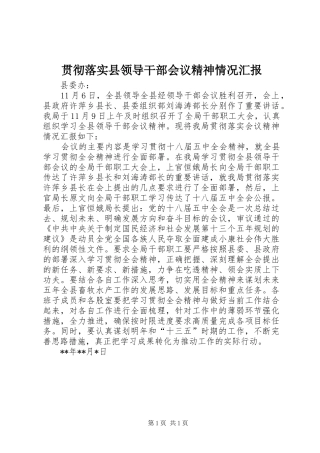 2024年贯彻落实县领导干部会议精神情况汇报