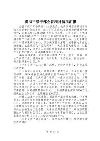 2024年贯彻三级干部会议精神情况汇报