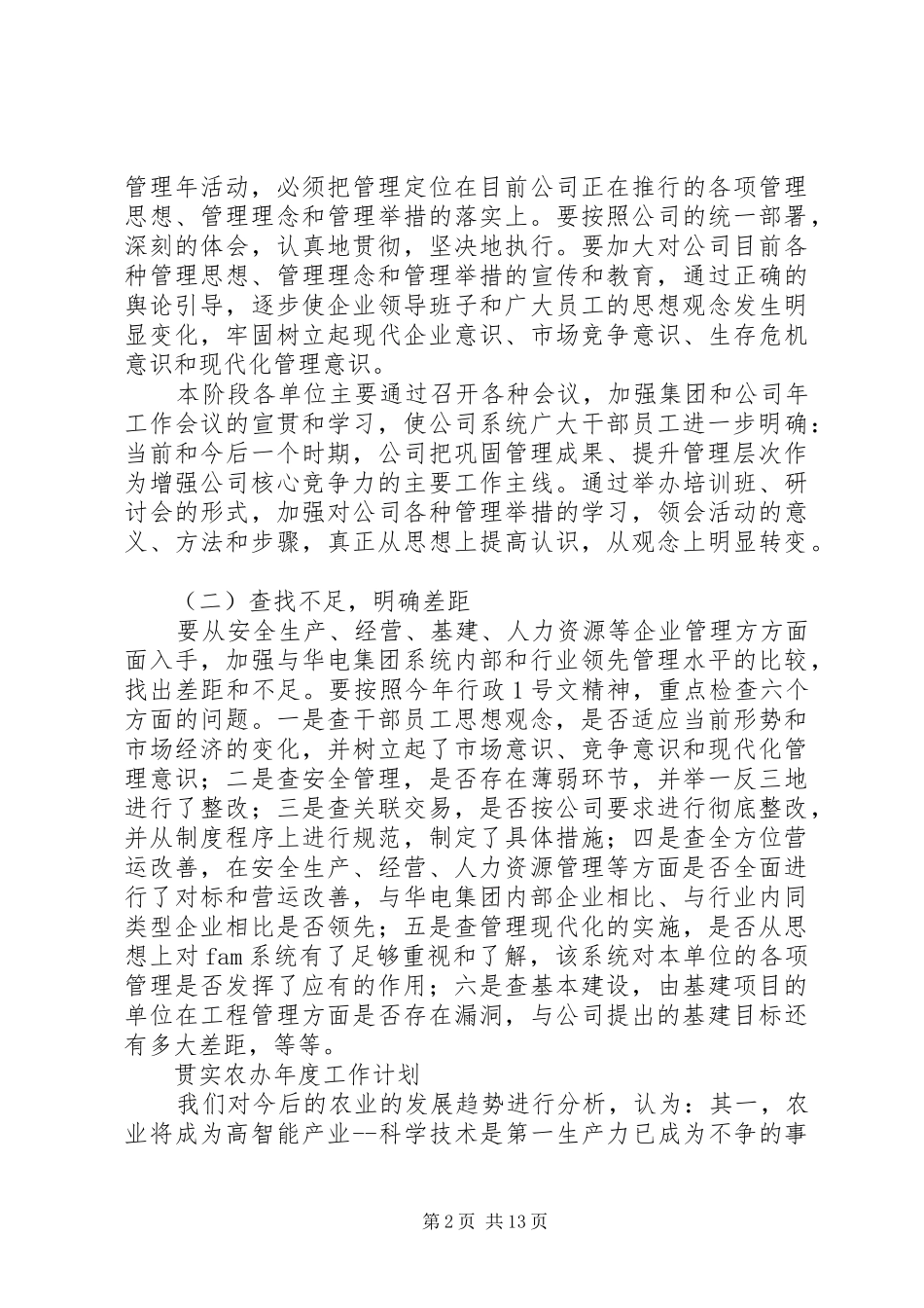 2024年贯实企业提升年要点计划与贯实农办年度工作计划_第2页