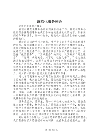 2024年规范化服务体会